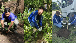 EnerZone Group Unites for 2025 Tree Planting Activities Across All Business Units