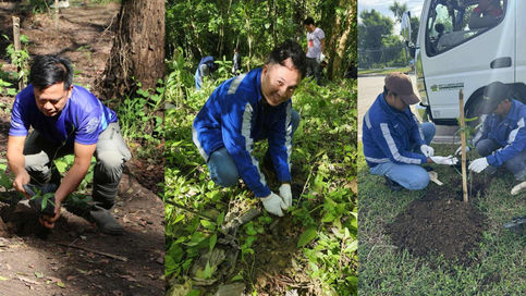 EnerZone Group Unites for 2025 Tree Planting Activities Across All Business Units 